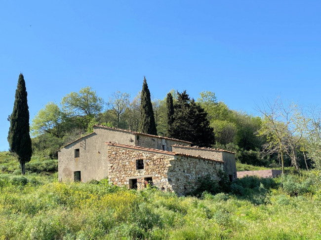 Colonica in pietra da ristrutturare con vista panoramica mozzafiato in vendita a Monteverdi Marittimo