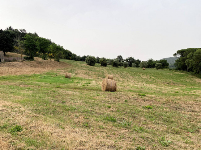 Colonica in pietra da ristrutturare con vista panoramica mozzafiato in vendita a Monteverdi Marittimo