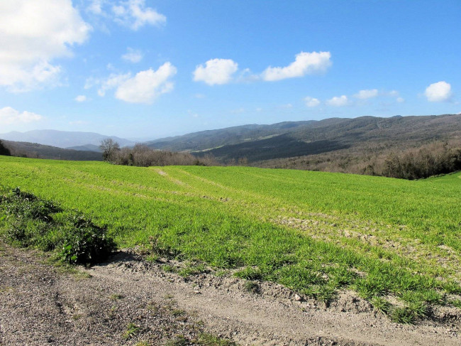 Colonica da ristrutturare con ampio terreno in posizione panoramica in vendita a Lajatico