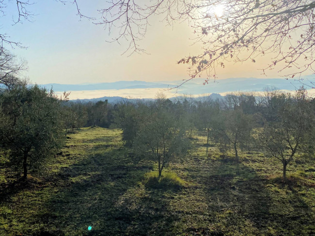 Colonica da ristrutturare con ampio terreno in posizione panoramica in vendita a Lajatico