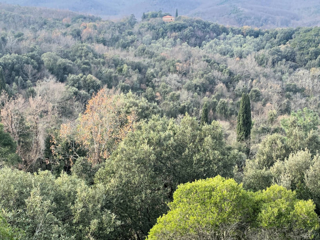 Colonica da ristrutturare con ampio terreno in posizione panoramica in vendita a Lajatico