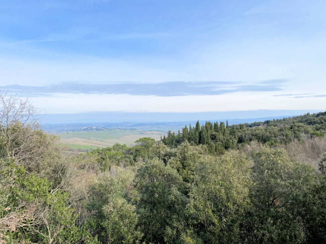 Colonica da ristrutturare con ampio terreno in posizione panoramica in vendita a Lajatico