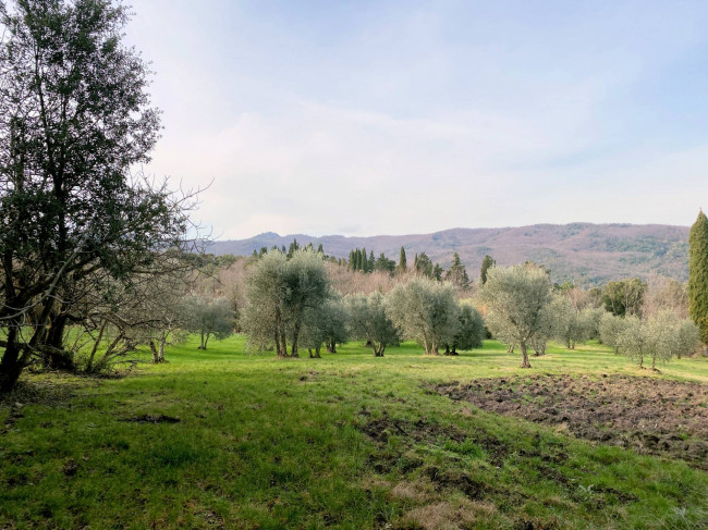 Colonica da ristrutturare con ampio terreno in posizione panoramica in vendita a Lajatico