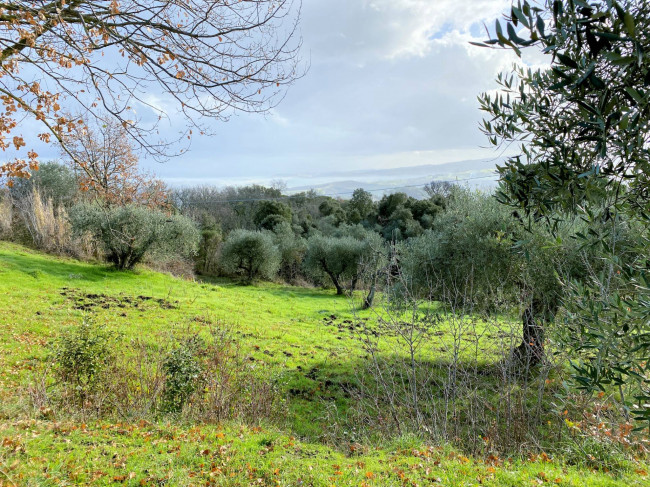 Colonica da ristrutturare con ampio terreno in posizione panoramica in vendita a Lajatico
