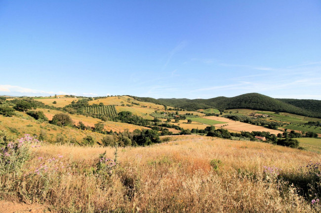 Casale libero su quattro lati con terreno e vista panoramica fino al mare in vendita a Magliano in Toscana
