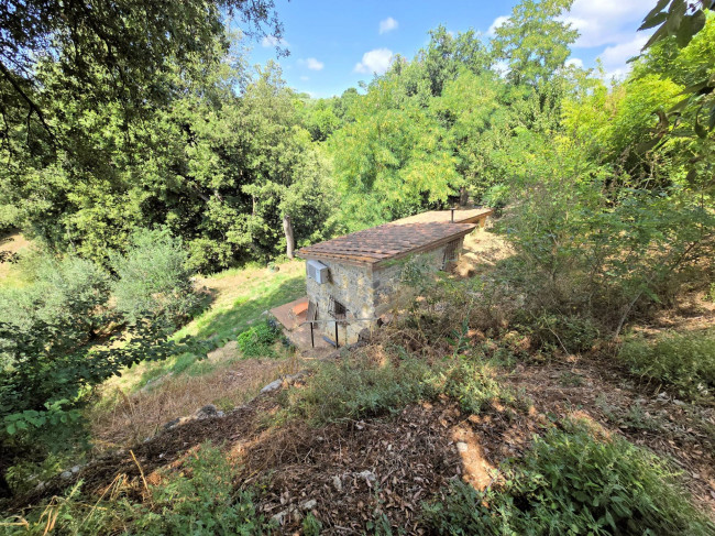 Antico fienile completamente ristrutturato con giardino e annessi  posto in un piccolo borgo in vendita a Colle di Val d'Elsa