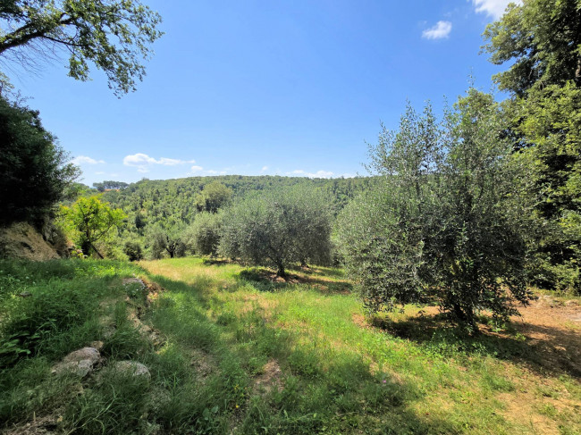 Antico fienile completamente ristrutturato con giardino e annessi  posto in un piccolo borgo in vendita a Colle di Val d'Elsa
