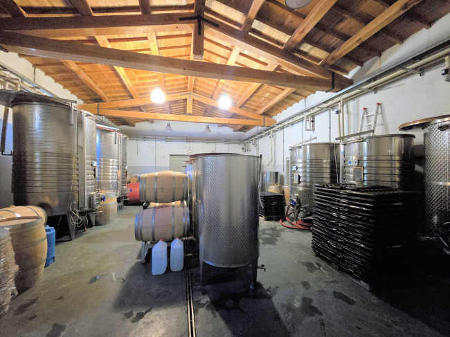 Azienda vitivinicola con produzione di vini di alta qualita' in posizione collinare con vista panoramica in vendita a Scansano