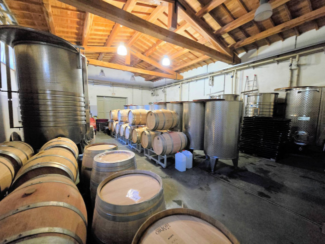 Azienda vitivinicola con produzione di vini di alta qualita' in posizione collinare con vista panoramica in vendita a Scansano