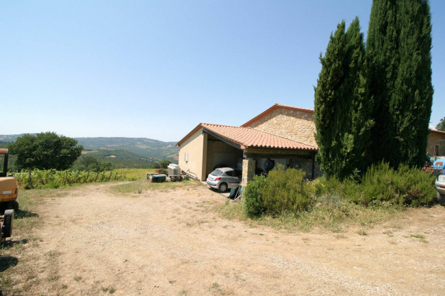 Azienda vitivinicola con produzione di vini di alta qualita' in posizione collinare con vista panoramica in vendita a Scansano