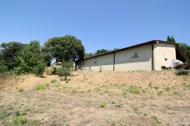 Azienda vitivinicola con produzione di vini di alta qualita' in posizione collinare con vista panoramica in vendita a Scansano