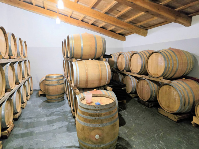 Azienda vitivinicola con produzione di vini di alta qualita' in posizione collinare con vista panoramica in vendita a Scansano