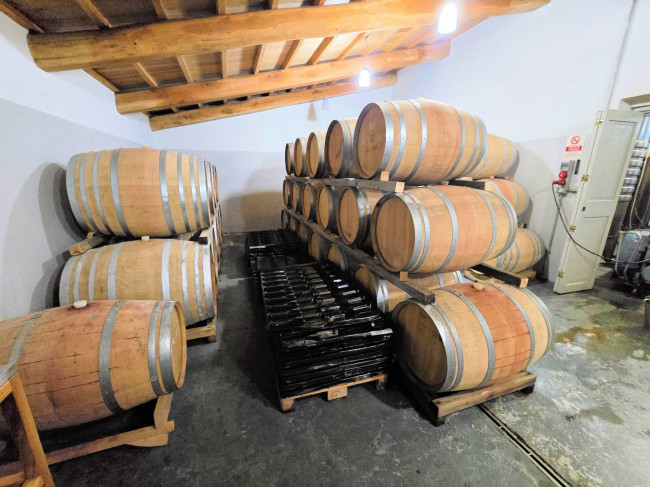 Azienda vitivinicola con produzione di vini di alta qualita' in posizione collinare con vista panoramica in vendita a Scansano