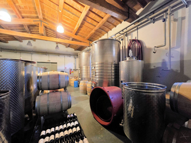 Azienda vitivinicola con produzione di vini di alta qualita' in posizione collinare con vista panoramica in vendita a Scansano