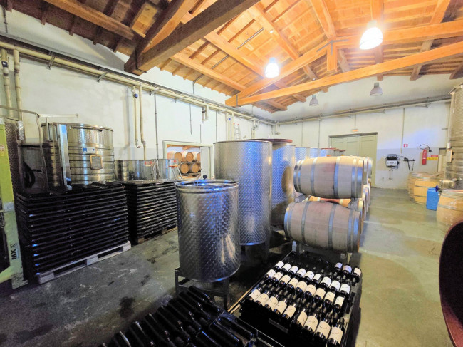 Azienda vitivinicola con produzione di vini di alta qualita' in posizione collinare con vista panoramica in vendita a Scansano