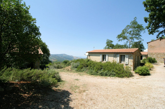 Azienda vitivinicola con produzione di vini di alta qualita' in posizione collinare con vista panoramica in vendita a Scansano