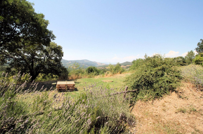 Azienda vitivinicola con produzione di vini di alta qualita' in posizione collinare con vista panoramica in vendita a Scansano