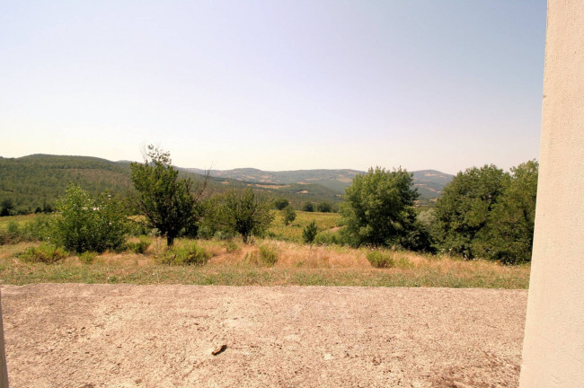 Azienda vitivinicola con produzione di vini di alta qualita' in posizione collinare con vista panoramica in vendita a Scansano