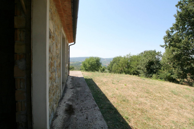 Azienda vitivinicola con produzione di vini di alta qualita' in posizione collinare con vista panoramica in vendita a Scansano
