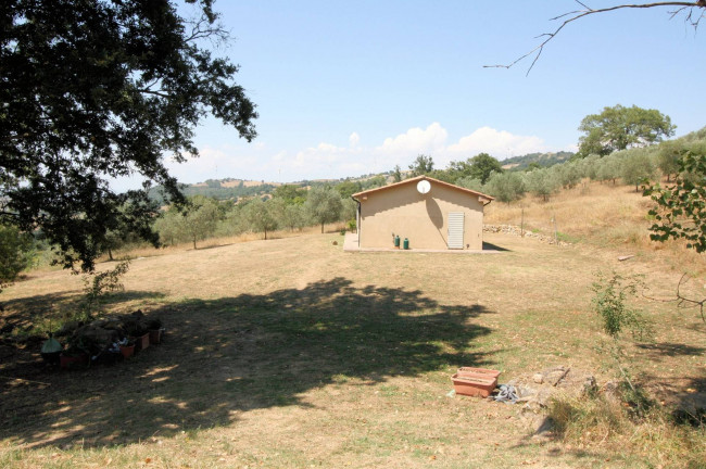 Azienda vitivinicola con produzione di vini di alta qualita' in posizione collinare con vista panoramica in vendita a Scansano