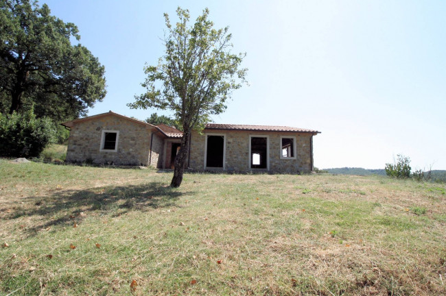 Azienda vitivinicola con produzione di vini di alta qualita' in posizione collinare con vista panoramica in vendita a Scansano