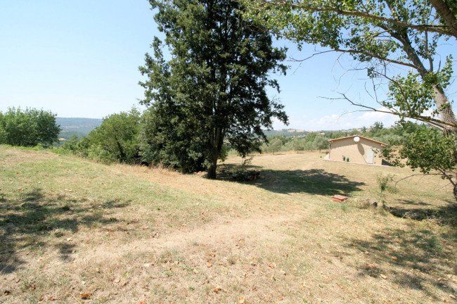 Azienda vitivinicola con produzione di vini di alta qualita' in posizione collinare con vista panoramica in vendita a Scansano