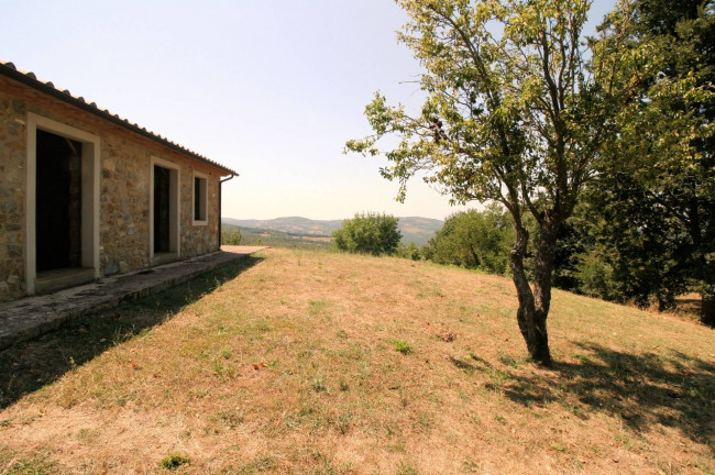 Azienda vitivinicola con produzione di vini di alta qualita' in posizione collinare con vista panoramica in vendita a Scansano