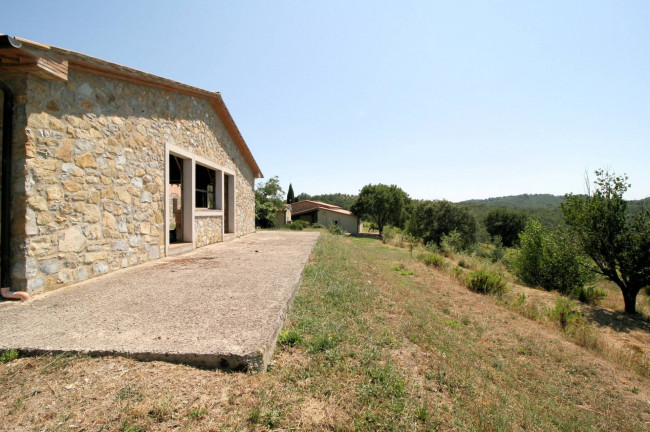 Azienda vitivinicola con produzione di vini di alta qualita' in posizione collinare con vista panoramica in vendita a Scansano