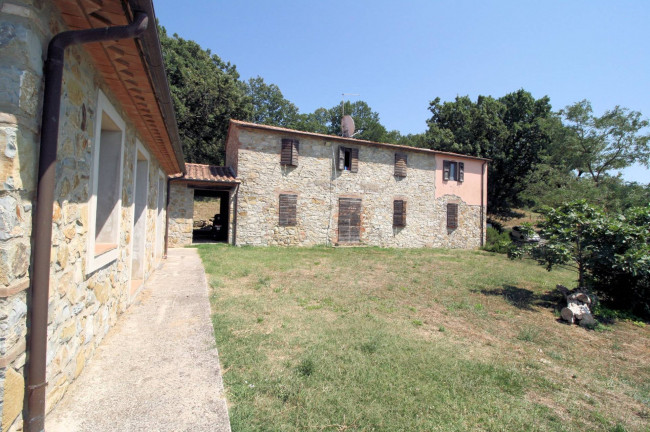 Azienda vitivinicola con produzione di vini di alta qualita' in posizione collinare con vista panoramica in vendita a Scansano
