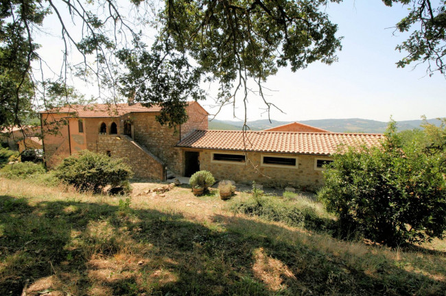 Azienda vitivinicola con produzione di vini di alta qualita' in posizione collinare con vista panoramica in vendita a Scansano