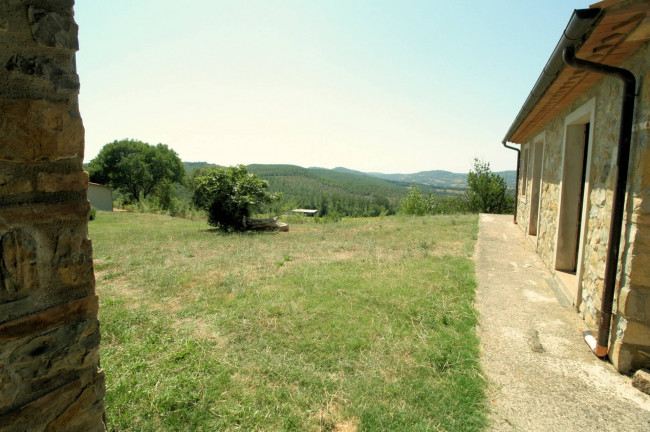Azienda vitivinicola con produzione di vini di alta qualita' in posizione collinare con vista panoramica in vendita a Scansano