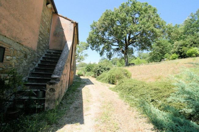 Azienda vitivinicola con produzione di vini di alta qualita' in posizione collinare con vista panoramica in vendita a Scansano
