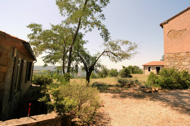 Azienda vitivinicola con produzione di vini di alta qualita' in posizione collinare con vista panoramica in vendita a Scansano