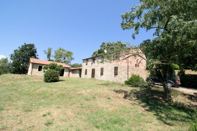 Azienda vitivinicola con produzione di vini di alta qualita' in posizione collinare con vista panoramica in vendita a Scansano