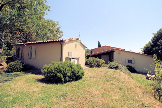Azienda vitivinicola con produzione di vini di alta qualita' in posizione collinare con vista panoramica in vendita a Scansano