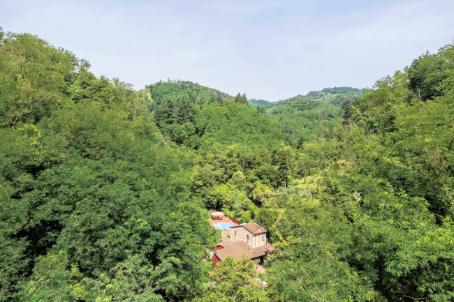 Rustico in stile Toscano con giardino e piscina in vendita a Buggiano
