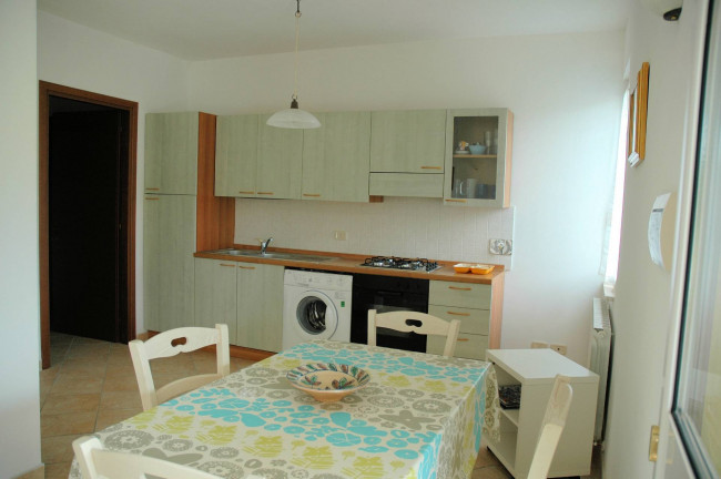 Casale con oliveto vicino a Grosseto in vendita a Grosseto