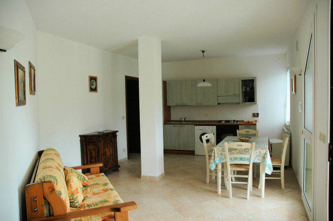Casale con oliveto vicino a Grosseto in vendita a Grosseto