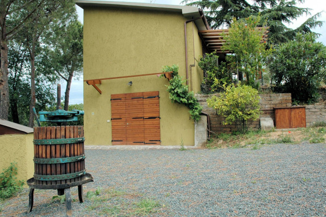 Casale con oliveto vicino a Grosseto in vendita a Grosseto