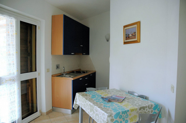 Casale con oliveto vicino a Grosseto in vendita a Grosseto