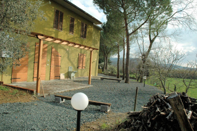 Casale con oliveto vicino a Grosseto in vendita a Grosseto