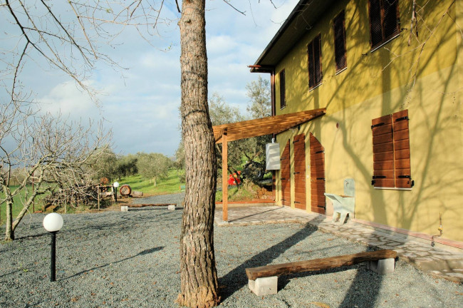 Casale con oliveto vicino a Grosseto in vendita a Grosseto