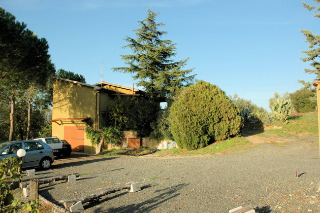 Casale con oliveto vicino a Grosseto in vendita a Grosseto