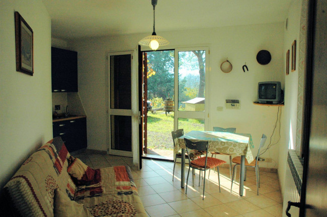 Casale con oliveto vicino a Grosseto in vendita a Grosseto
