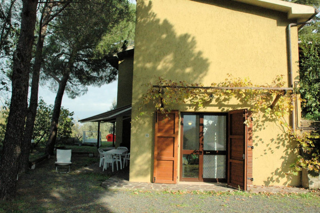 Casale con oliveto vicino a Grosseto in vendita a Grosseto