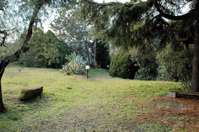 Casale con oliveto vicino a Grosseto in vendita a Grosseto