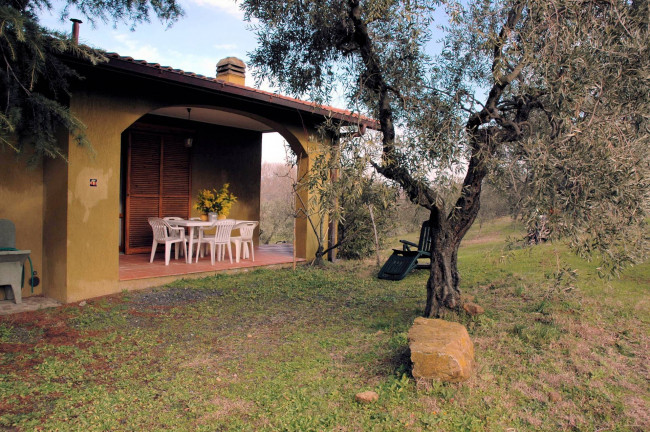 Casale con oliveto vicino a Grosseto in vendita a Grosseto