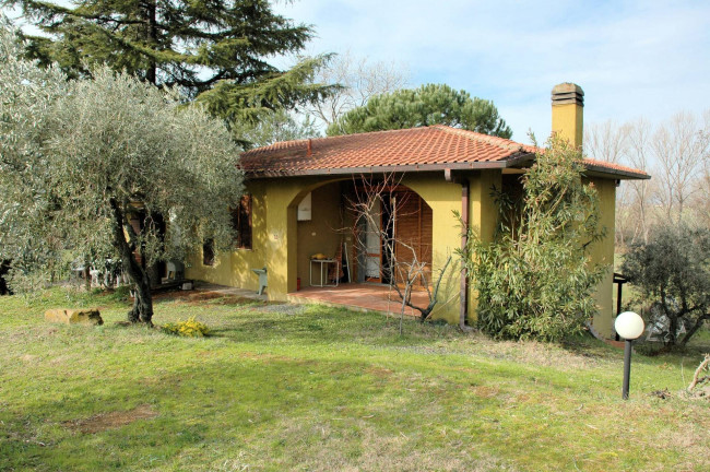 Casale con oliveto vicino a Grosseto in vendita a Grosseto