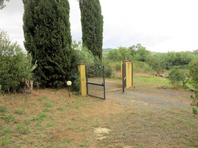 Casale con oliveto vicino a Grosseto in vendita a Grosseto
