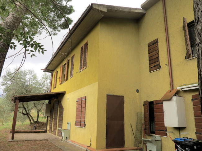 Casale con oliveto vicino a Grosseto in vendita a Grosseto